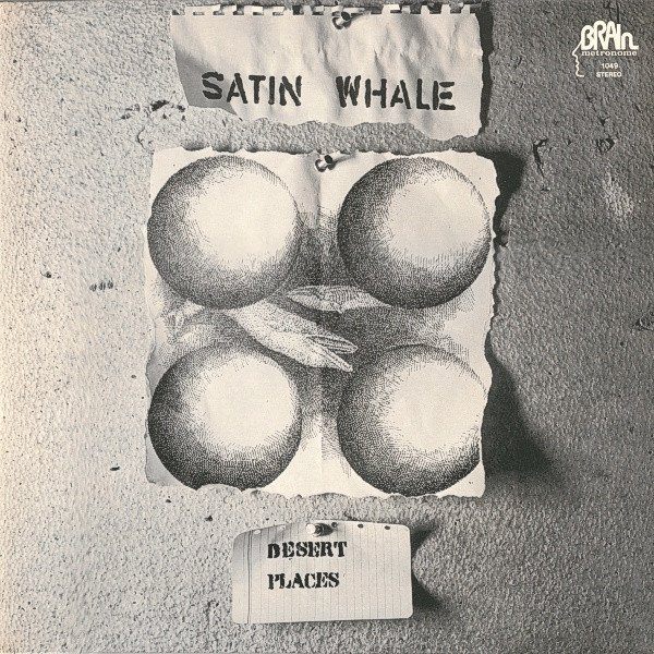 Satin Whale — Desert Places