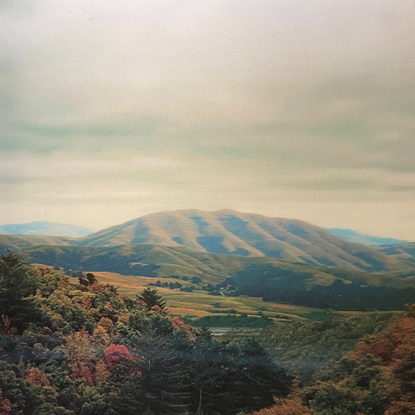 Dirty Projectors + Björk — Mount Wittenberg Orca