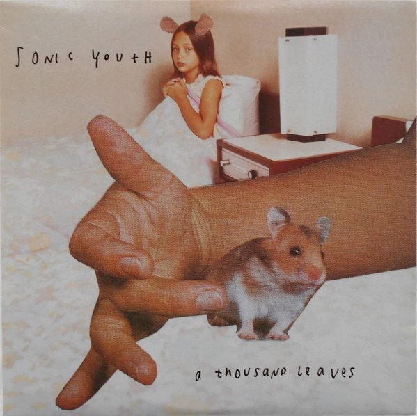 Sonic Youth — A Thousand Leaves