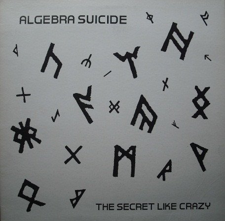Algebra Suicide — The Secret Like Crazy