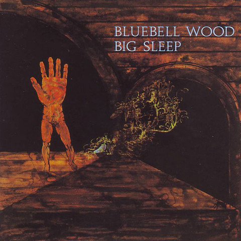 Big Sleep (2) — Bluebell Wood