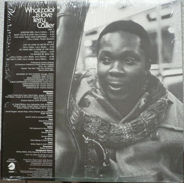 Terry Callier — What Color Is Love 2