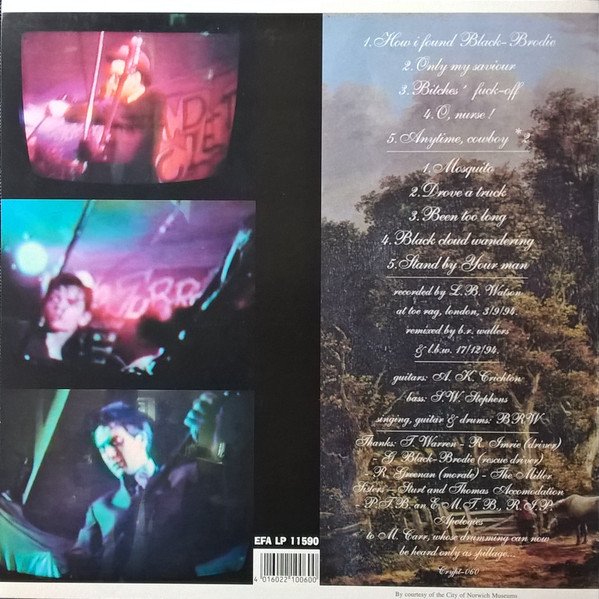 Country Teasers — The Pastoral - Not Rustic - World of Their Greatest Hits 2