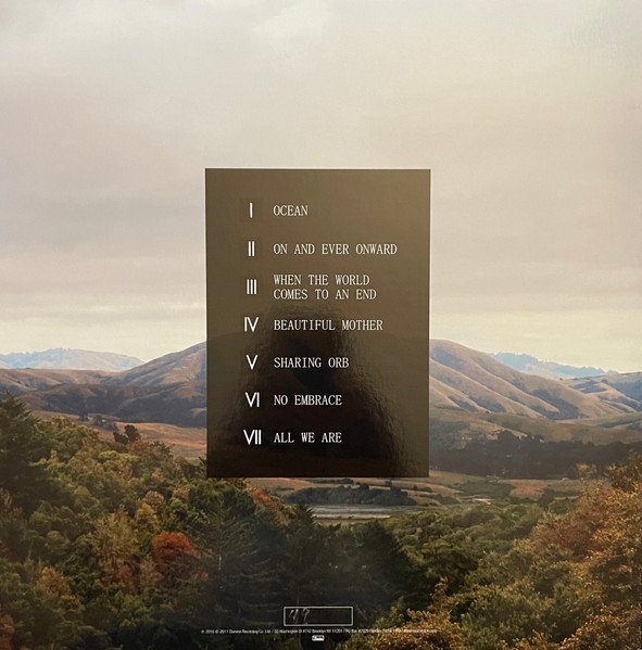 Dirty Projectors + Björk — Mount Wittenberg Orca 2