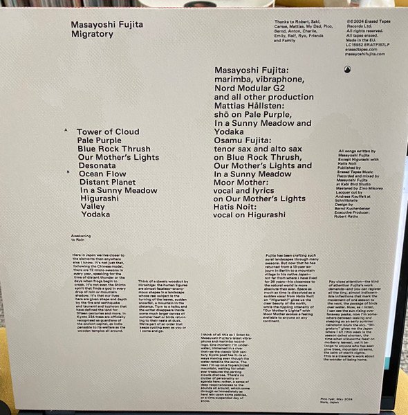 Masayoshi Fujita — Migratory 2