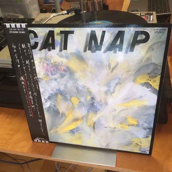 Maki Asakawa — Cat Nap 2