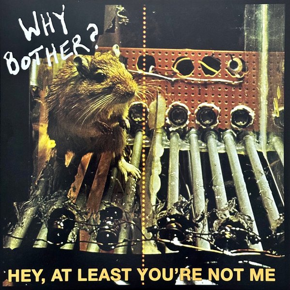 Why Bother? (3) — Hey, At Least You're Not Me