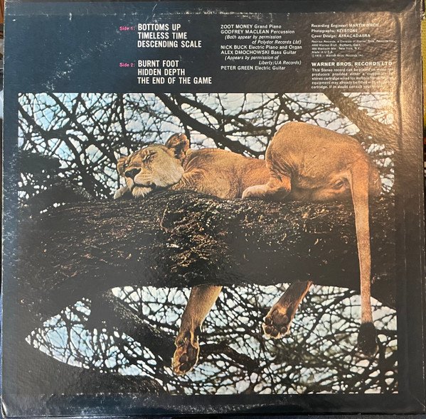 Peter Green (2) — The End Of The Game 2