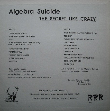Algebra Suicide — The Secret Like Crazy 2