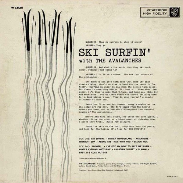 The Avalanches (2) — Ski Surfin' 2