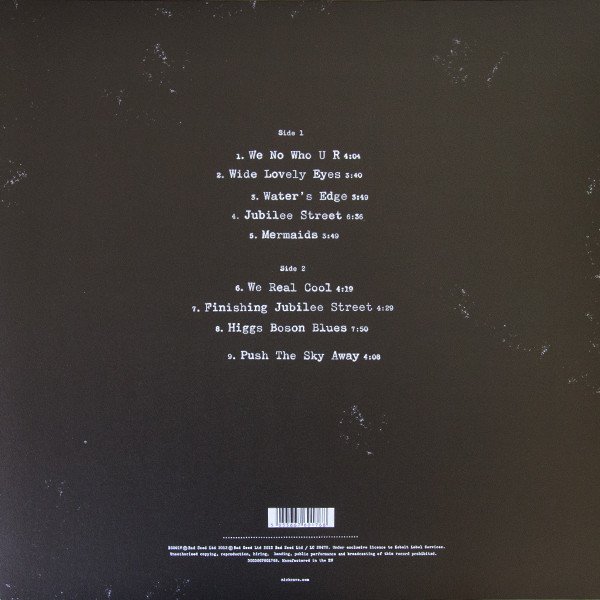 Nick Cave & The Bad Seeds — Push The Sky Away 2